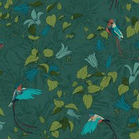 Hummingbird SHB1 Jungle