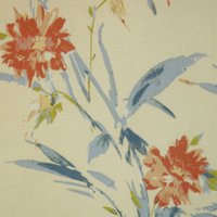 Wild Rose L2 Coral
