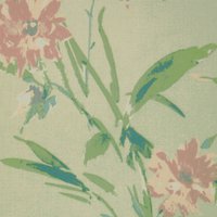 Wild Rose L3 Apple