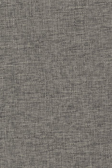 L17 Raccoon - Laon Blackout - Swatch image
