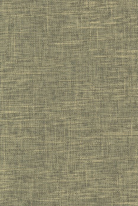 L5 Foal - Laon Blackout - Swatch image