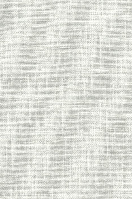 L9 Jasmine - Laon Blackout - Swatch image