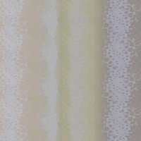 Leopard K2 Limelight