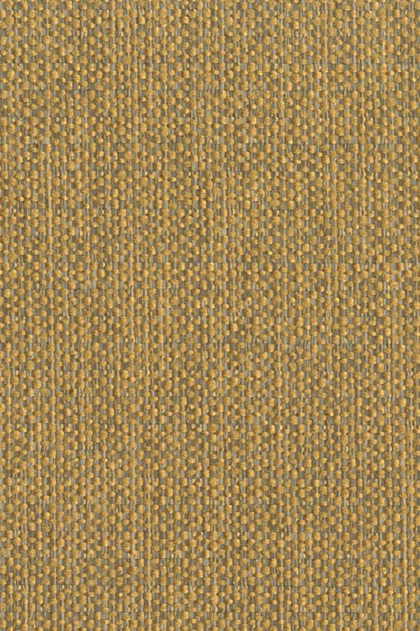 E12 Gold - Encanto - Swatch image