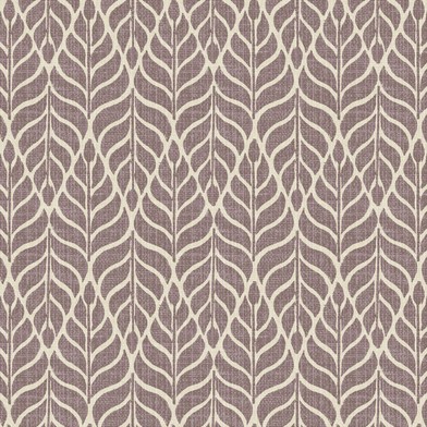 Maranta