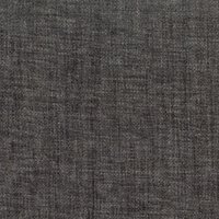 Marmotte CD43 Ammonite