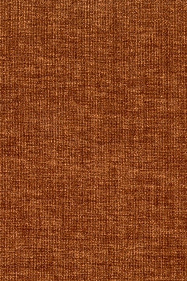 CD44 Fox - BOUTIQUE 2 - Swatch image