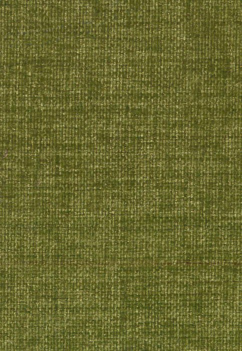 C6 Moss - Chamonix - Swatch image