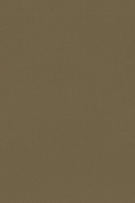 N39 Coffee - Nero Dimout - Swatch image