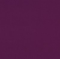 Nero Dimout N41 Allium