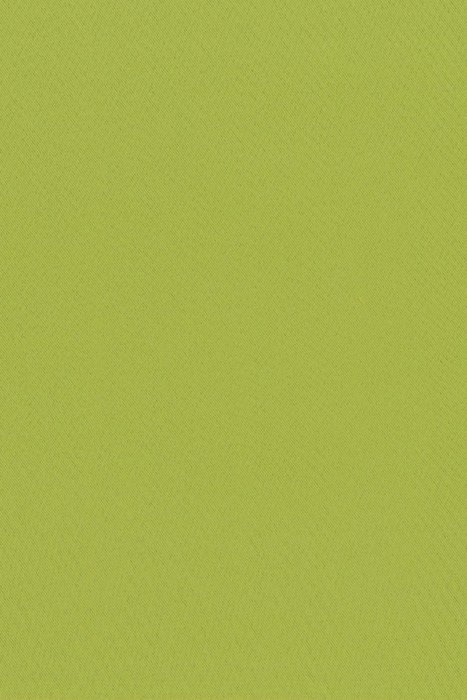 N48 Jackfruit - Nero Dimout - Swatch image