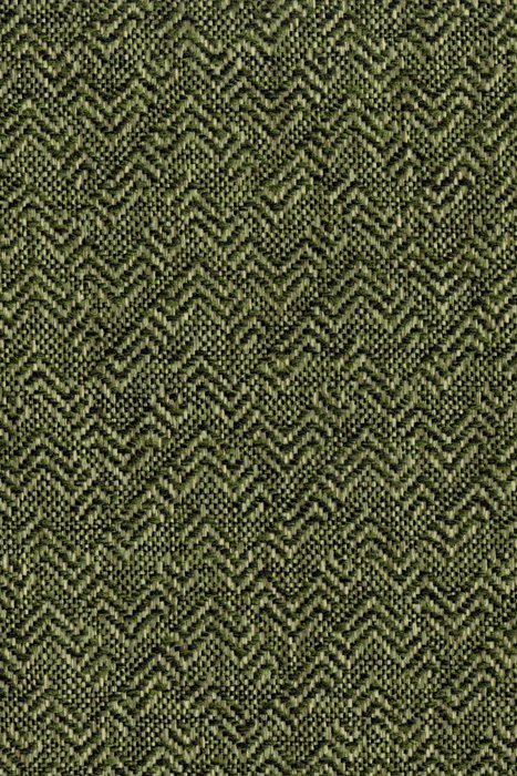 E17 Cactus - Encanto - Swatch image