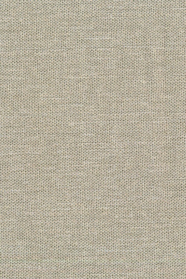 CD55 Lynx - BOUTIQUE 2 - Swatch image