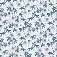 Passiflora ML33 Aqua