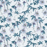 Passiflora ML33 Aqua