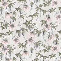 Passiflora ML34 Blushed