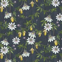 Passiflora ML35 Twilight