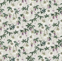 Passiflora ML36 Sorbet