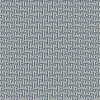 1 January Petite Duo LA2 Shark