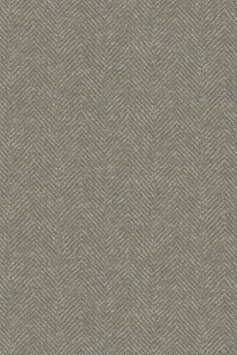 SPL14 Lavender Grey - Plume - Swatch image