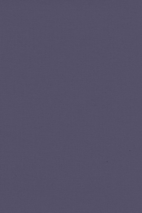 RBV6 Grape - Roller Blinds Voile - Swatch image
