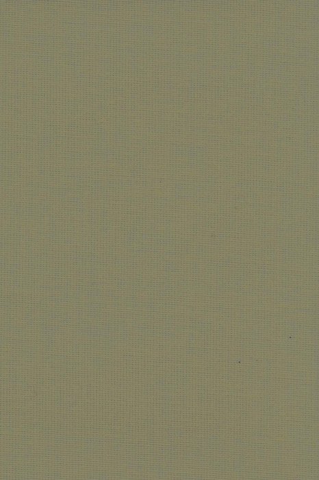 RBV4 Papaya - Roller Blinds Voile - Swatch image