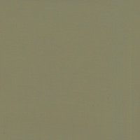 Roller Blind Voile RBV4 Papaya