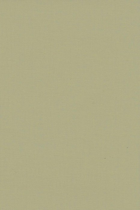 RBV3 Sandshell - Roller Blinds Voile - Swatch image