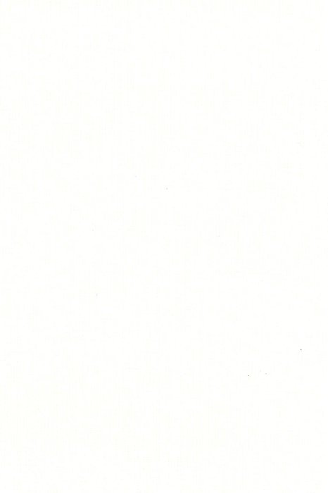 RBV1 White - Roller Blinds Voile - Swatch image