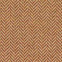 Slalom CD77 Squirrel