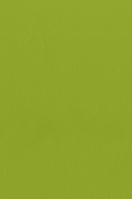 T12 Leaf - Tama Faux Leather - Swatch image