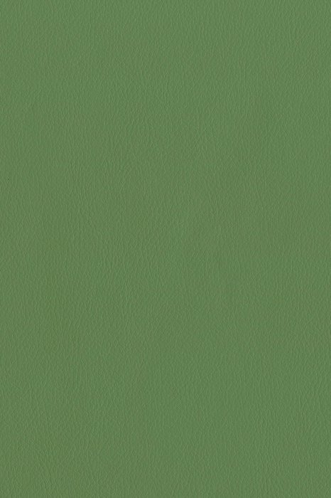 T13 Cress - Tama Faux Leather - Swatch image