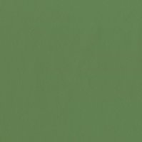 Tama Faux Leather T13 Cress