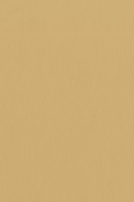 T2 Manuka - Tama Faux Leather - Swatch image