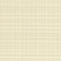Web E1 Snowdrop