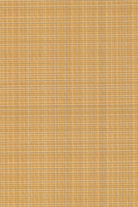 E2 Primrose - Enchant - Swatch image