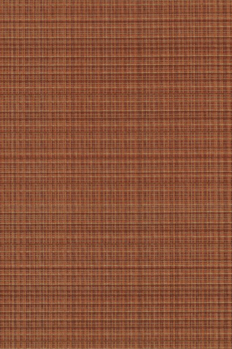 E9 Conker - Enchant - Swatch image